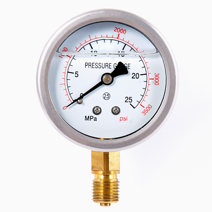 Pressure Gauge