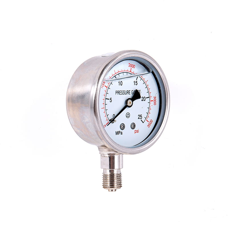 YJY Series ganap na gauge ng presyon YJY Series ganap na gauge ng presyon